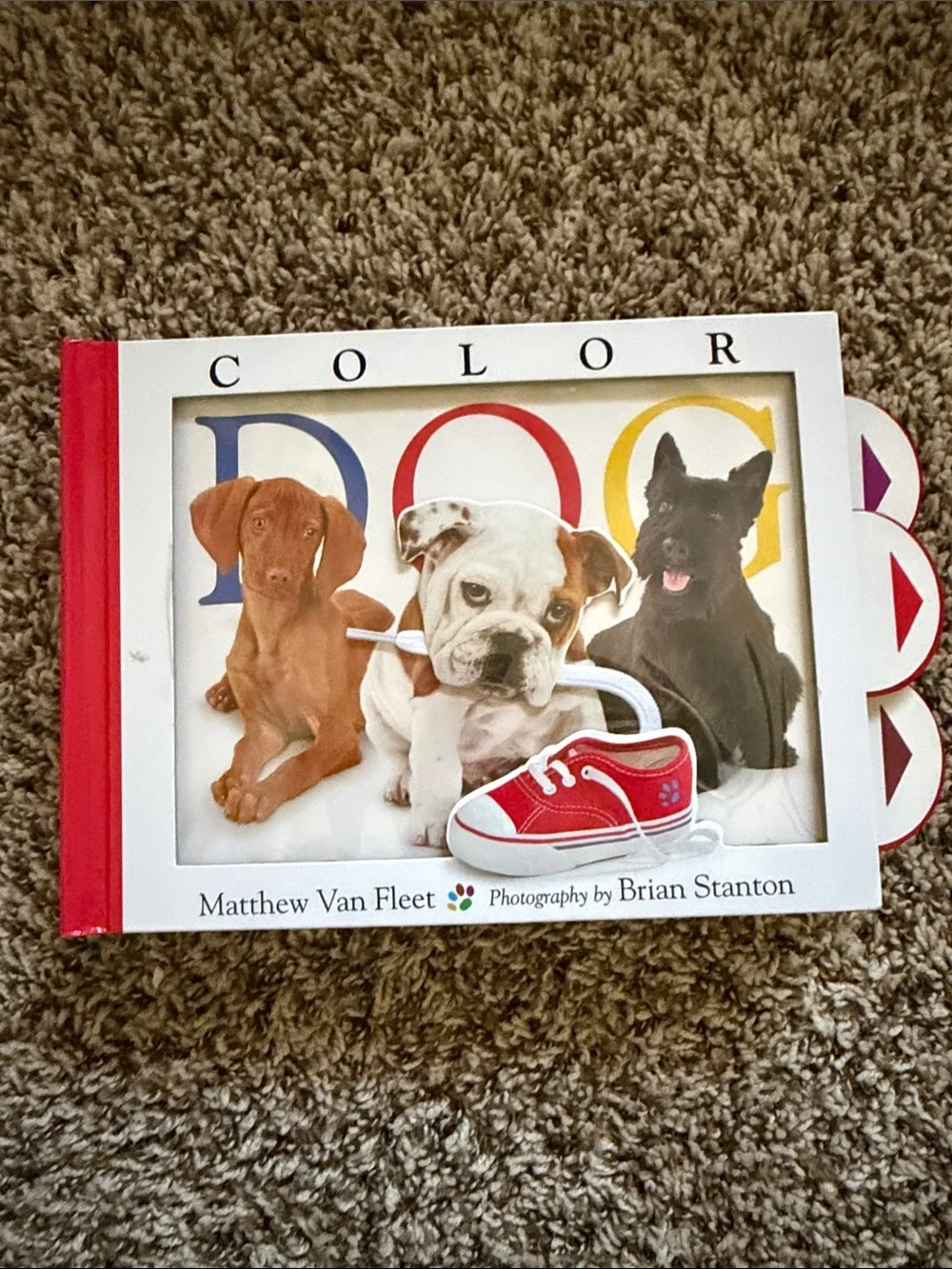 Color Dog Board Book by Matthew Van Fleet